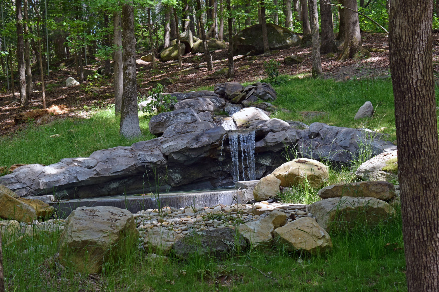 Wildlife Sanctuary bear habitat pool.jpg